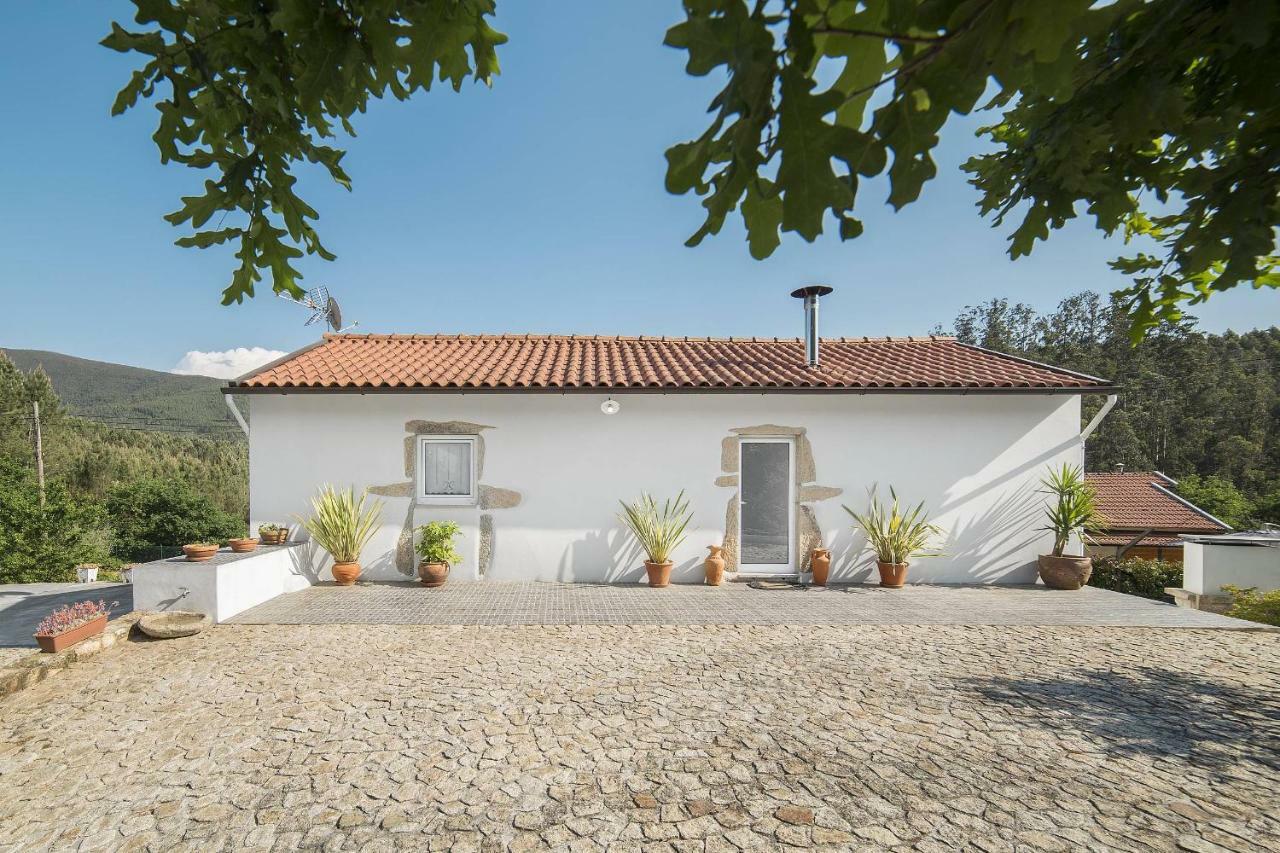 Villa Casa Do Porto Carreiro à Oliveira de Azeméis Extérieur photo